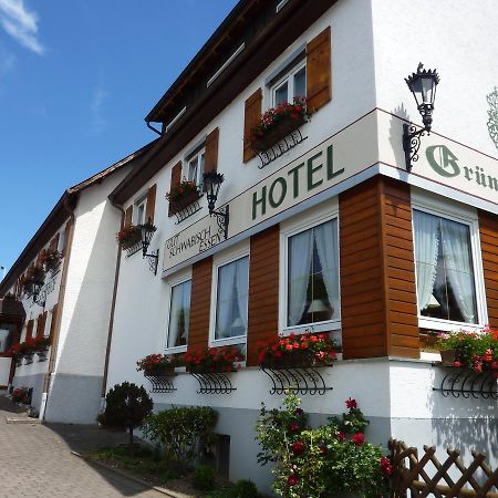 Hotel Landgasthof Gruener Baum Hochdorf  외부 사진